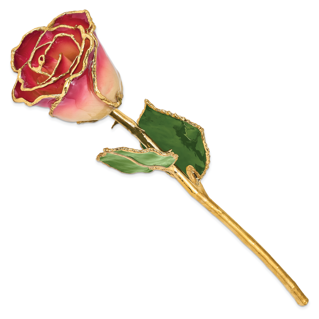 Lacquer Dipped Gold Trim White and Burgundy Rose