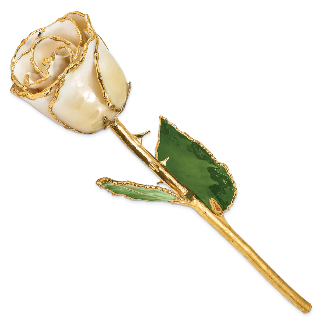 Lacquer Dipped Gold Trimmed Cream/White Rose