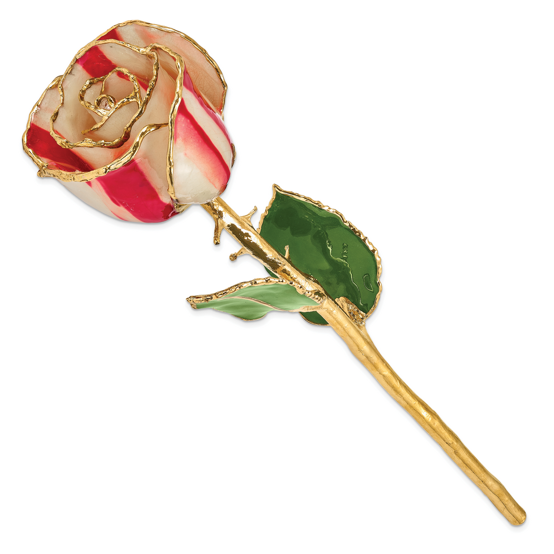 Lacquer Dipped Gold Trim Peppermint Rose