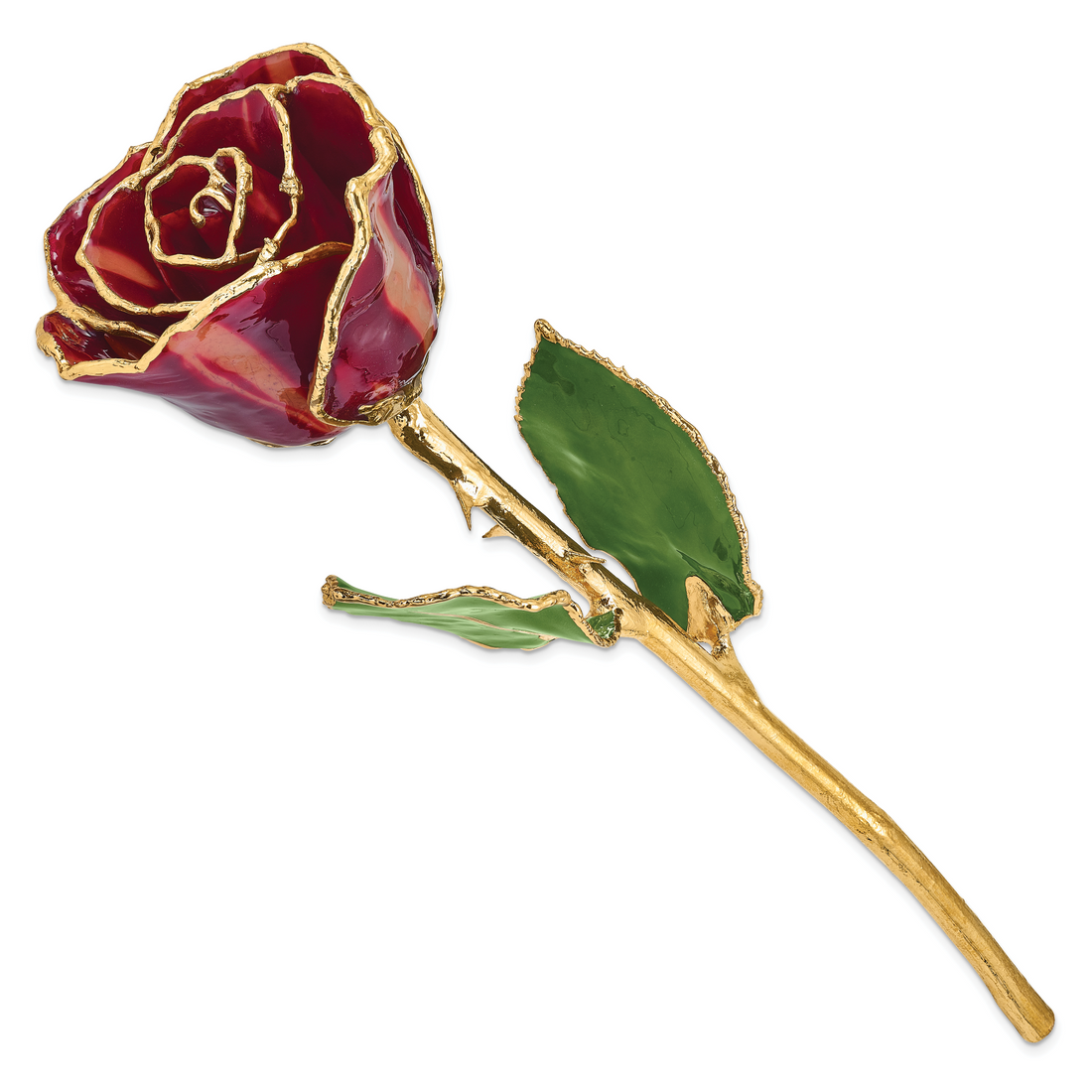 Lacquer Dipped Gold Trim Abracadabra Rose