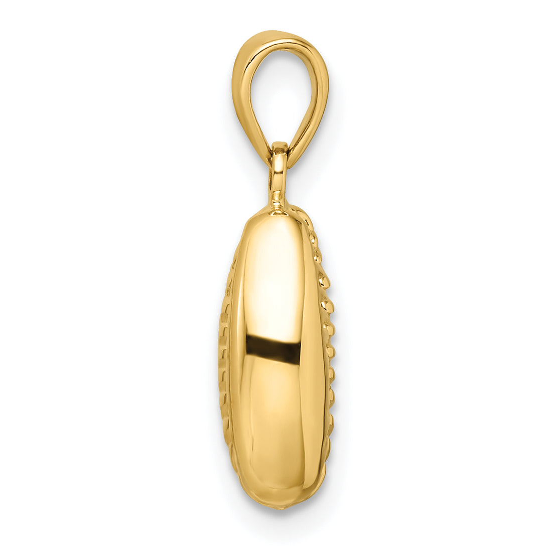 14k Polished 3-D Cowrie Shell Pendant