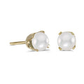 14 karat yellow gold 4mm Pearl stud earrings.