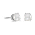 14 karat white gold 4mm Pearl stud earrings.